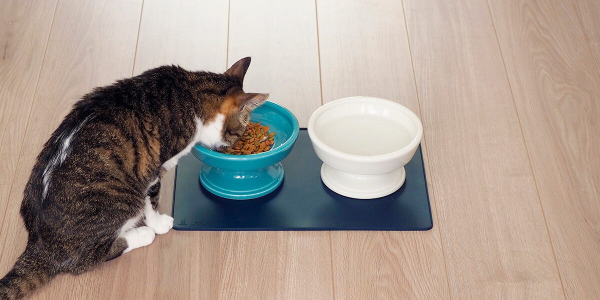 HASAMI FOOD BOWL for PET｜マルヒロオンラインストア