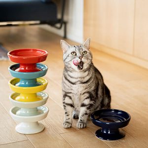 SEASON 01 աɥܥ 16cm