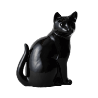 ����ƥꥢ�����꡼��