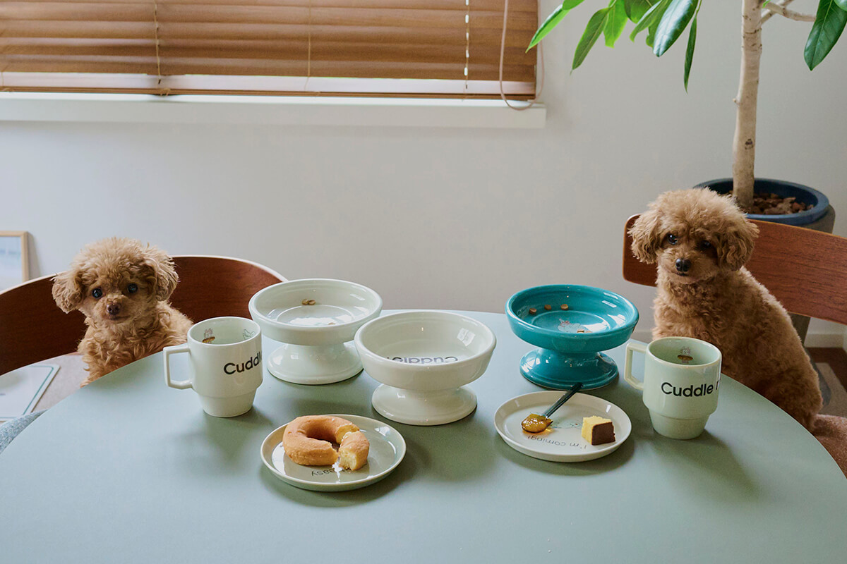 HASAMI & Cuddle magazine ڥåȤȤ·ǻȤ륢åץʥܿ