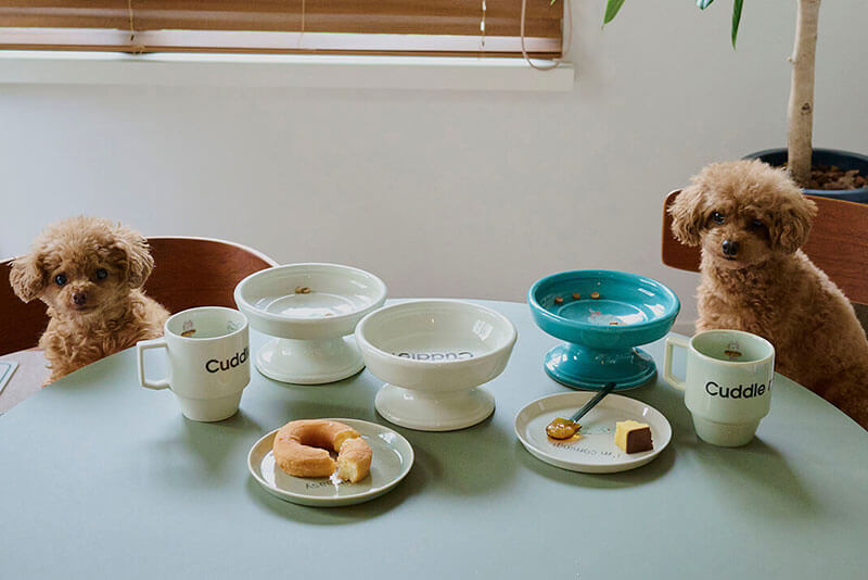 ��Cuddle magazine